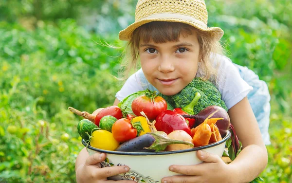 Barn Trädgården Med Grönsaker Händerna Selektivt Fokus Natur — Stockfoto