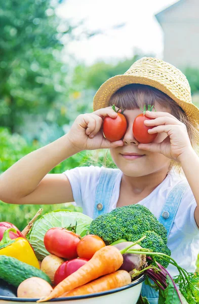 Bambino Giardino Con Verdure Mano Concentrazione Selettiva Natura — Foto Stock