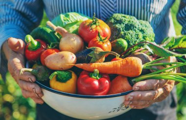 Bahçedeki büyükanne ellerinde sebzelerle. Seçici odaklanma. Doğa.