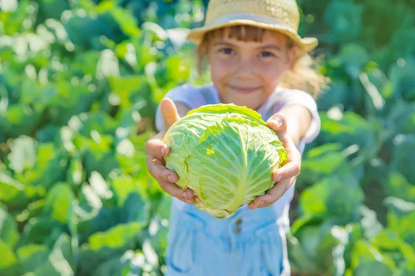 Dítě Zelím Brokolicí Rukou Selektivní Zaměření — Stock fotografie