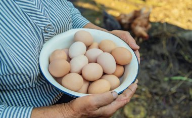 büyükannenin elinde ev yapımı yumurta. Seçici odak. Doğa.