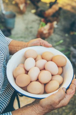 büyükannenin elinde ev yapımı yumurta. Seçici odak. Doğa.