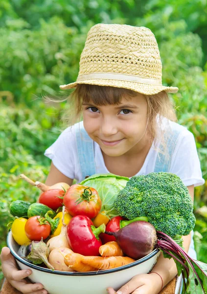 Barn Trädgården Med Grönsaker Händerna Selektivt Fokus Natur — Stockfoto