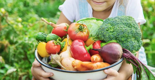 Barn Trädgården Med Grönsaker Händerna Selektivt Fokus Natur — Stockfoto