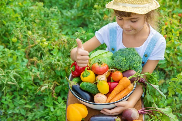 Barn Trädgården Med Grönsaker Händerna Selektivt Fokus Natur — Stockfoto