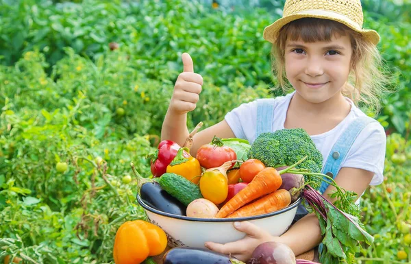 Kind Tuin Met Groenten Zijn Handen Selectieve Focus Aard — Stockfoto