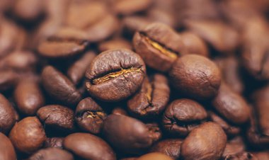 Kahve çekirdekleri yakın plan kavrulmuş. İçelim. Seçici odaklanma. Yiyecek..