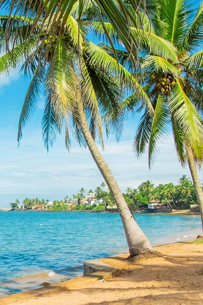 Sri Lanka Oceaan Beruwala Strand Selectieve Focus Natuur — Stockfoto