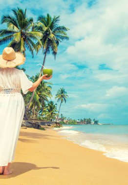 Sahildeki kız hindistan cevizi içiyor. Seçici odaklanma. Doğa.