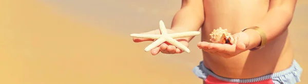 Child Starfish Shells His Hands Beach Selective Focus — 스톡 사진
