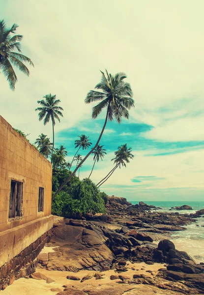 Sri Lanka Est Une Île Avec Phare Concentration Sélective Nature — Photo
