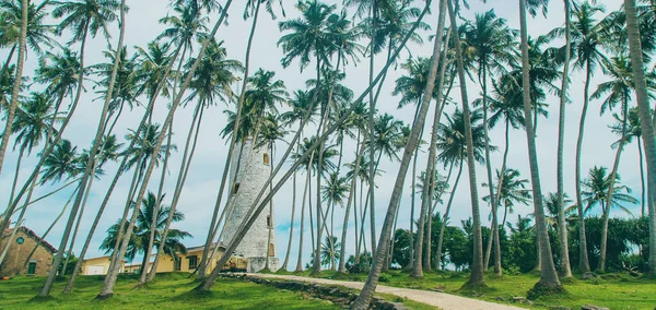 Sri Lanka Een Eiland Met Een Vuurtoren Selectieve Focus Natuur — Stockfoto