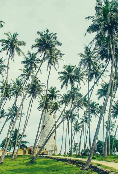 Sri Lanka Est Une Île Avec Phare Concentration Sélective Nature — Photo