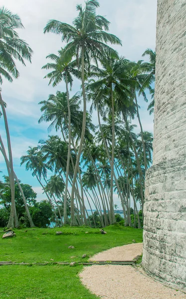Шри Ланка Остров Маяком Выборочный Фокус Природа — стоковое фото