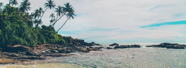 Oceaan Sri Lanka Natuur Palmbomen Selectieve Focus Natuur — Stockfoto