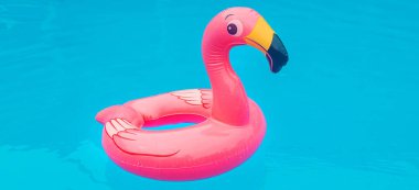 Flamingo havuzunda daire çiz. Seçici odaklanma. Doğa.