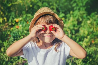 Bahçede domatesli bir çocuk. Seçici odak.