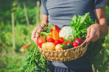 Bahçede elinde sebzelerle bir adam. Seçici odaklanma. Doğa.