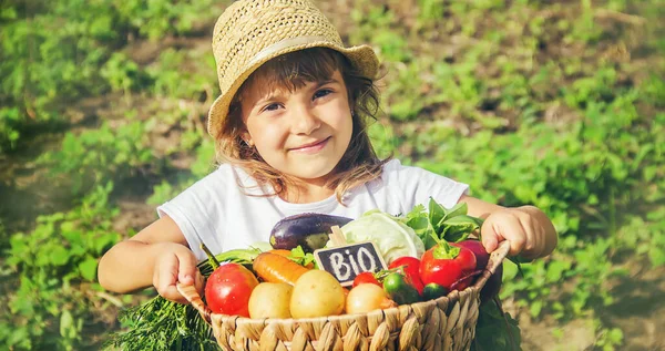 Sebze Bahçesinde Bir Çocuk Seçici Odak — Stok fotoğraf