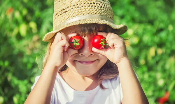 一个在有西红柿的花园里的孩子 有选择的重点 — 图库照片
