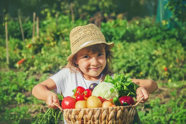 野菜の庭の子供 選択的焦点 — ストック写真