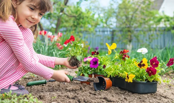 Seorang Anak Menanam Kebun Bunga Fokus Selektif Alam — Stok Foto