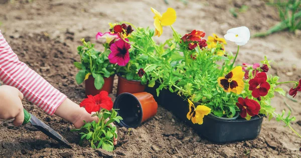 어린이는 꽃밭을 가꾸고 선택적 집중입니다 — 스톡 사진