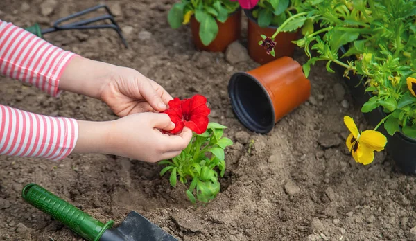 子供は花の庭を植えます 選択的フォーカス — ストック写真