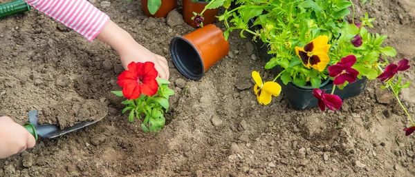 子供は花の庭を植えます 選択的フォーカス — ストック写真