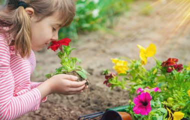 Bir çocuk çiçek bahçesi ekiyor. Seçici odaklanma. Doğa.