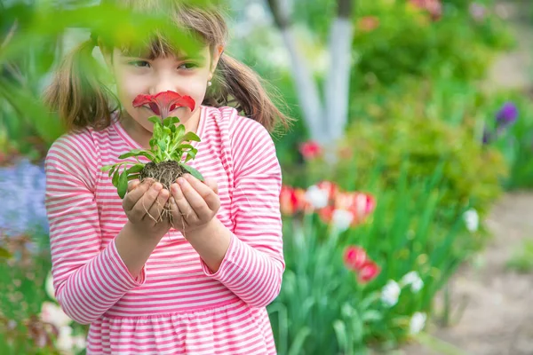 Ένα Παιδί Φυτεύει Έναν Κήπο Λουλούδια Επιλεκτική Εστίαση Φύση — Φωτογραφία Αρχείου