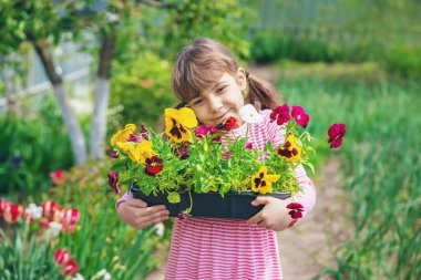 Bir çocuk çiçek bahçesi ekiyor. Seçici odaklanma. Doğa.