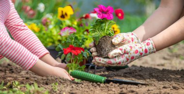 Çocuk ve anne bahçeye çiçek eker. Seçici odaklanma. Doğa.