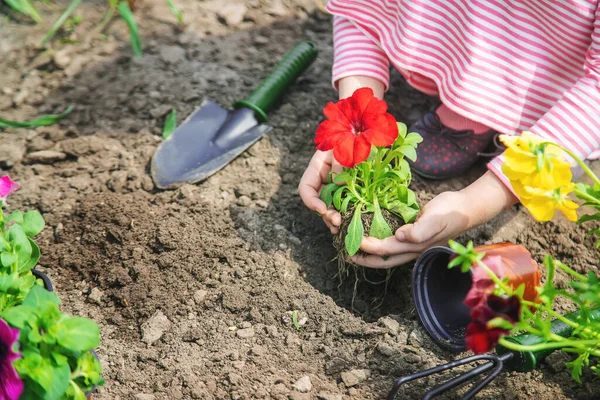 子供は花の庭を植えます 選択的フォーカス — ストック写真