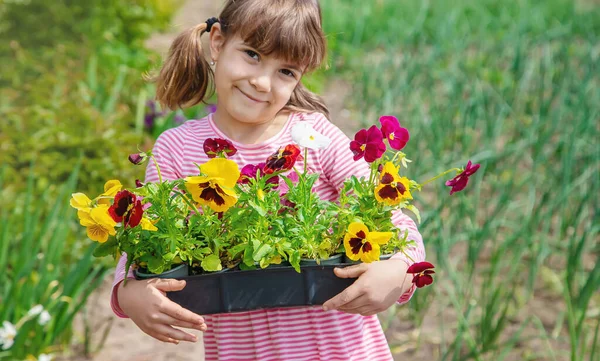 Uma Criança Planta Jardim Flores Foco Seletivo Natureza — Fotografia de Stock