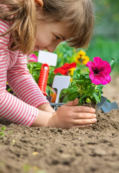 Anak Dan Ibu Menanam Bunga Kebun Fokus Selektif Alam — Stok Foto
