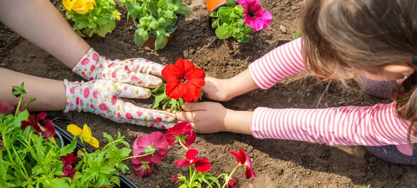 Barn Och Mor Planterar Blommor Trädgården Selektivt Fokus Natur — Stockfoto