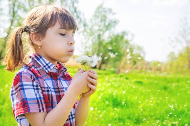 Parkta karahindiba taşıyan kız çocuğu. Seçici odak.