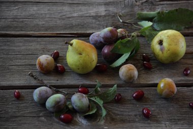 taze armut Erik ve Cornel ile masada