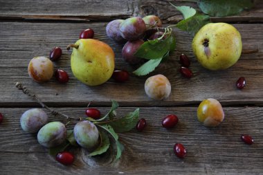 taze armut Erik ve Cornel ile masada