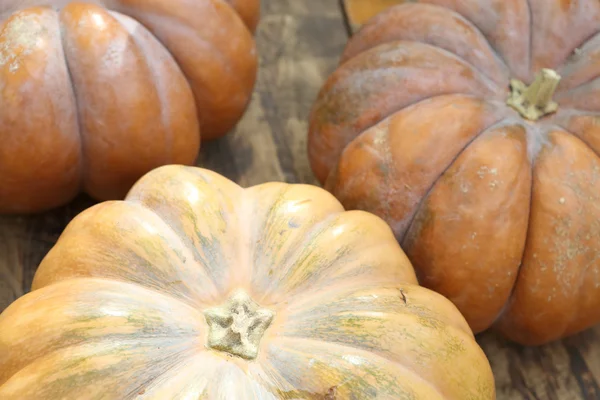 Calabaza naranja madura grande — Foto de Stock