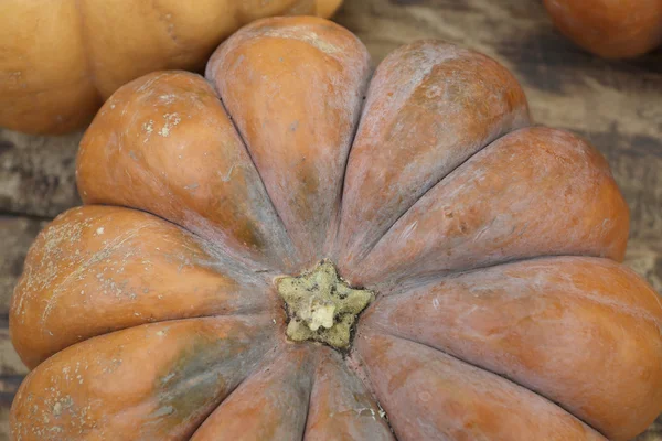 Calabaza naranja madura grande — Foto de Stock