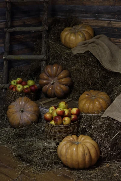 Reife Kürbisse auf Strohballen und Äpfeln im Weidenkorb — Stockfoto