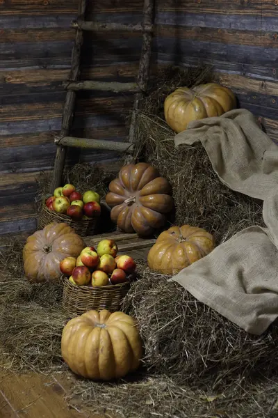 Rote Äpfel im Weidenkorb und reifer gelber Kürbis — Stockfoto