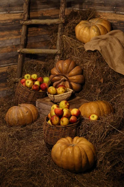 Reife Kürbisse auf Strohballen und Äpfeln im Weidenkorb — Stockfoto