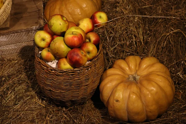 Red apples in a wicker basket and ripe yellow pumpkin — Stock Photo, Image