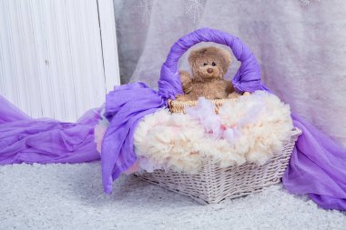 parlak bir oda bir sepete tanzim oturuyor