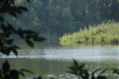 yeşil ağaçlar astuto Nehri üzerinde 