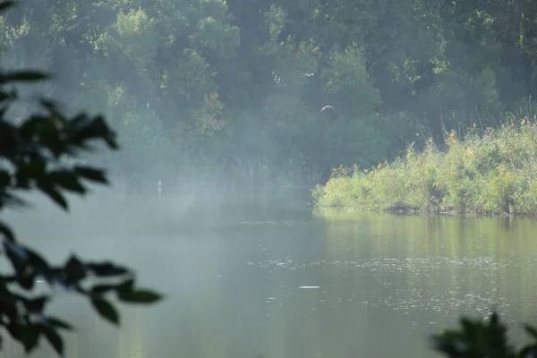 Mist kruipt over de rivier — Stockfoto