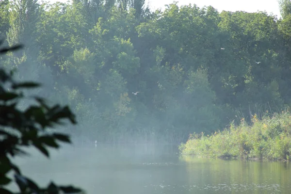 Skrada się mgła nad rzeką — Zdjęcie stockowe